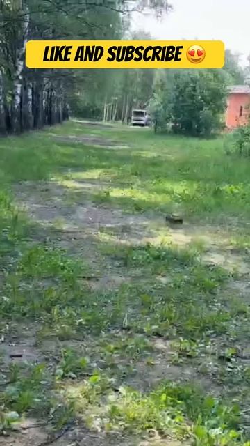 Traxxas Slash-sammit. Frankenstein  #rccar #traxxas #slash #sammit #arrma #rc