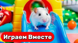 Умный Хомяк выбирается из НОВОГО БОЛЬШОГО лабиринта с ловушками ! Видео для детей №5