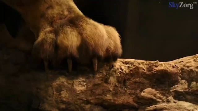 Рок опера Орфей - Герои смотреть онлайн