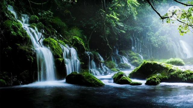 мы родились в Сибири//кривое зеркало//обзор канала смотреть онлайн