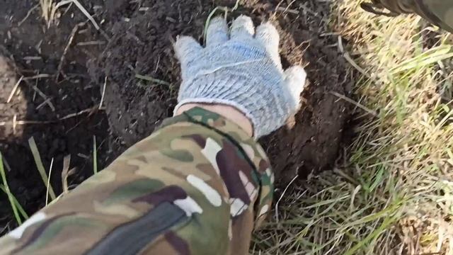 2 копейки Николая II. Коп монет с minelab equinox 900 смотреть онлайн