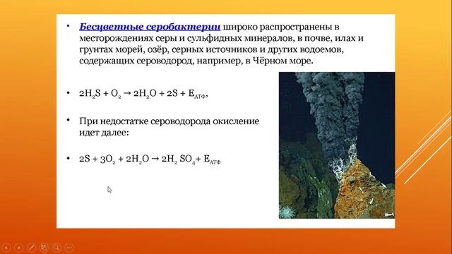хемосинтез 2 сравнение фотосинтеза и дыхания смотреть онлайн