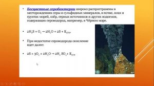 хемосинтез 2 сравнение фотосинтеза и дыхания