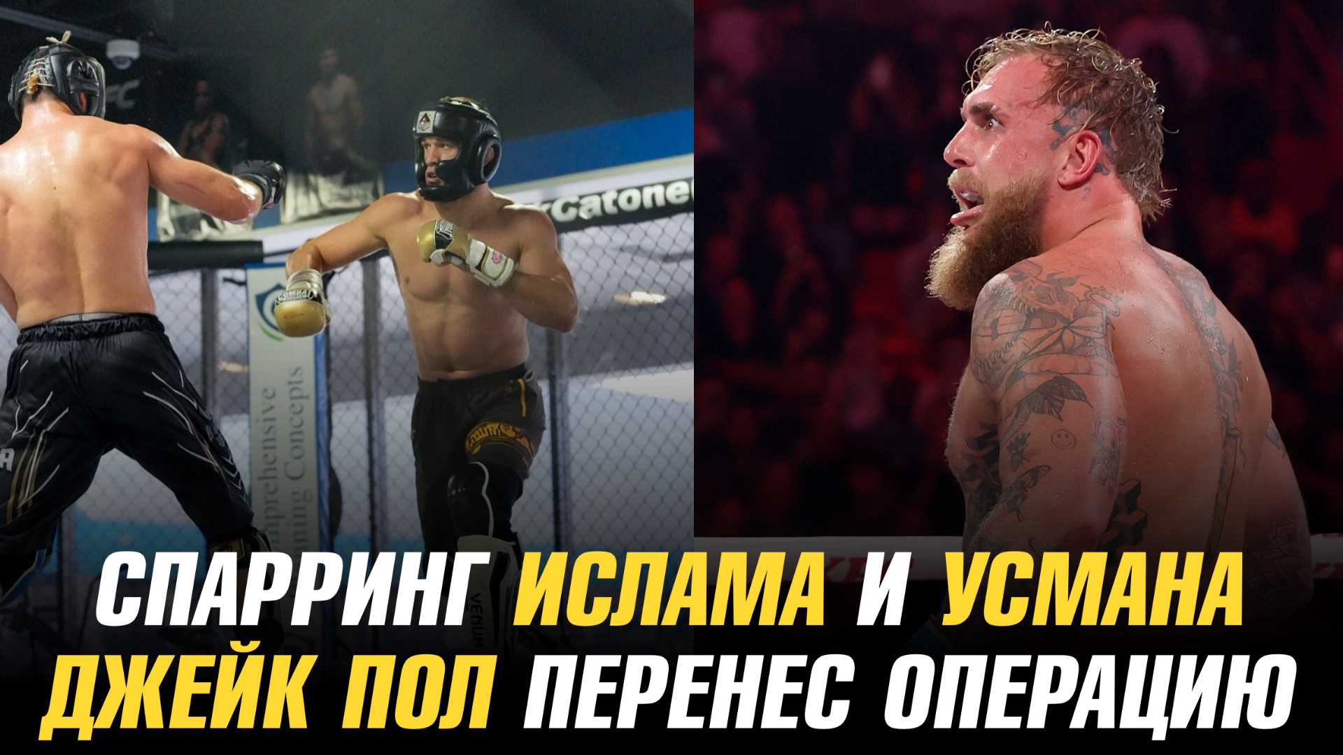 Спарринг Ислама Махачева и Усмана Нурмагомедова / Джейк Пол перенес операцию смотреть онлайн