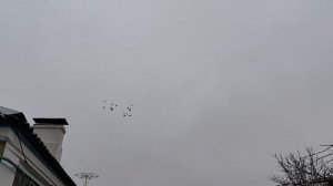 Гон голубей 21.12.2025г.