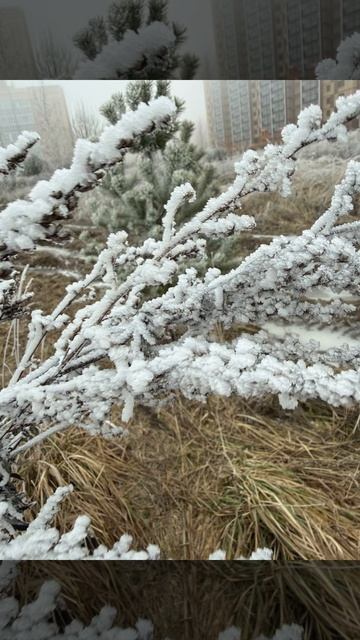 Царство зимы.. Волшебство❄️