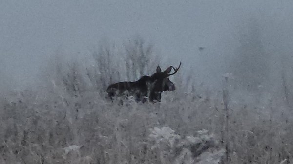 Закрыли лицензии