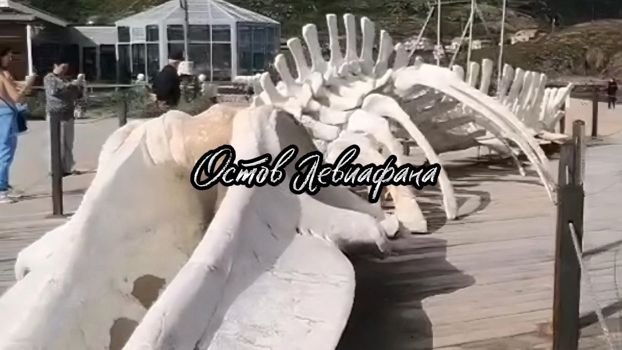 #Териберка_Мурманская_область #Путешествие_по_Заполярью #Левиафан