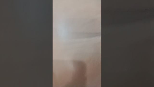 описание нашей квартиры