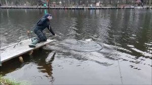 Не только закидушки, но и спиннинг...Клёвое место, Лосиный остров, верхний водоём.