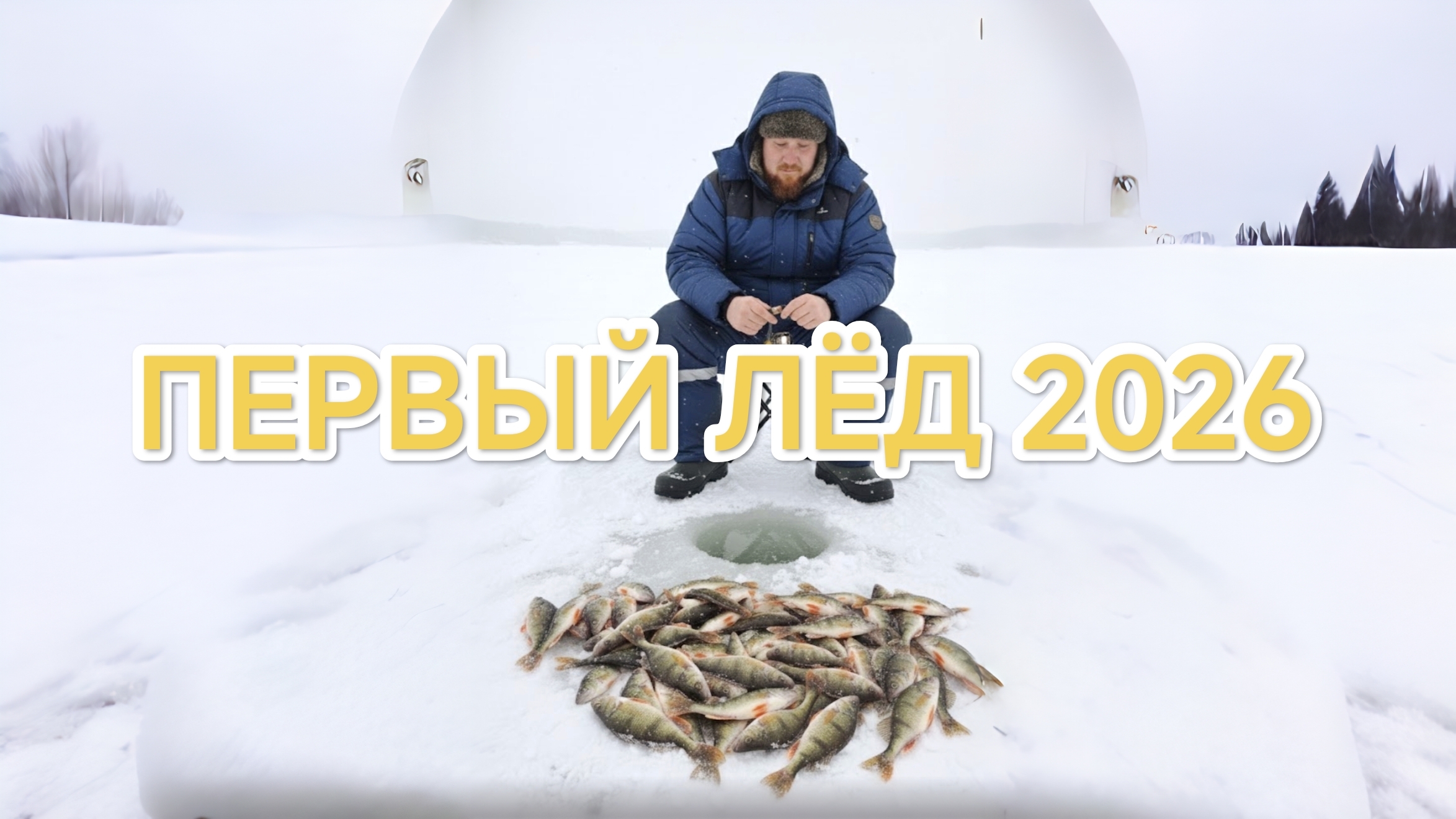 В сердце стаи: ловля окуней через объектив Calypso