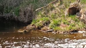 ЗДЕСЬ МАЛО УВИДЕТЬ- ЗДЕСЬ НУЖНО ВСМОТРЕТЬСЯ