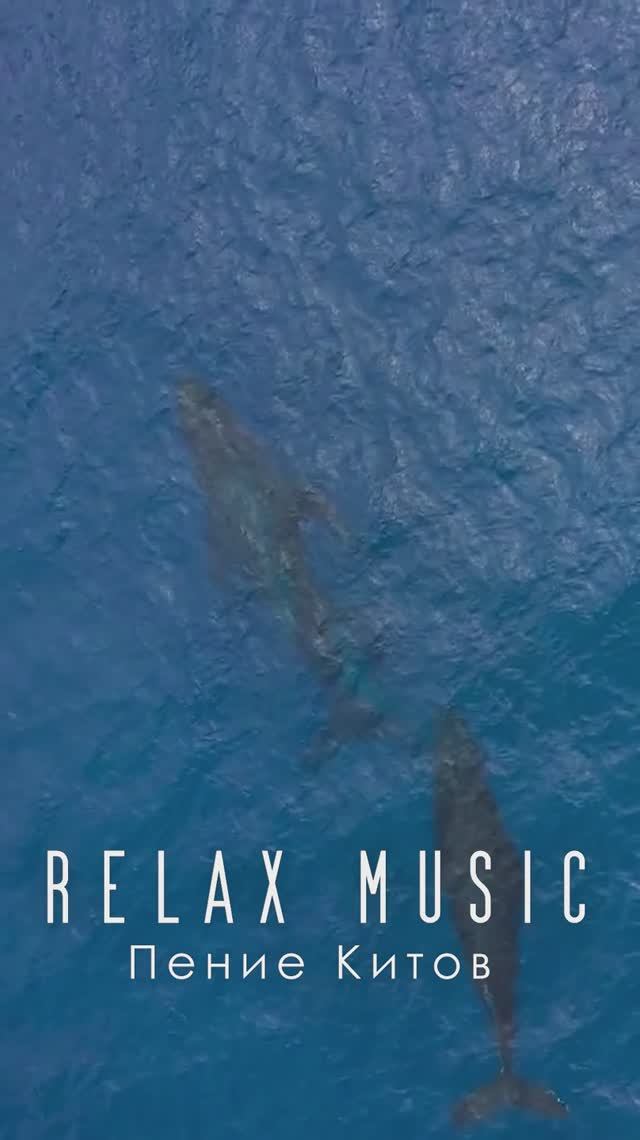 Исцеляющее Пение Китов для снятия напряжения смотреть онлайн