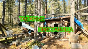 Кедровник. Часть 2.