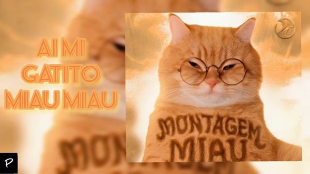 AI MI GATITO MIAU MIAU смотреть онлайн