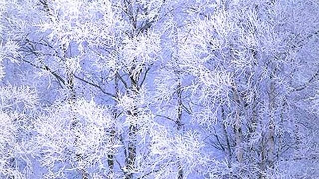 Новогодняя песня (караоке) смотреть онлайн