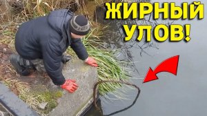 Вот Это ЗАКИНУЛ МАГНИТ, Еле ВЫТАЩИЛИ и еле УВЕЗЛИ эту Находку! Жирный УЛОВ у Моста!
