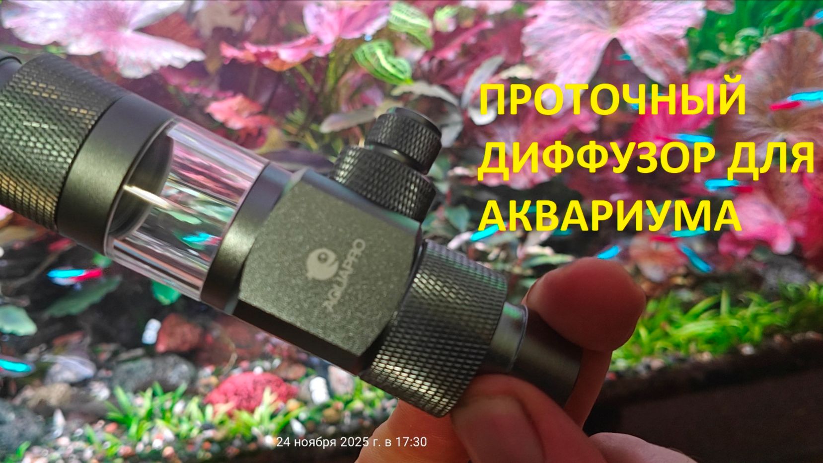 Обзор проточного диффузора со2 для аквариума ,,AQUAPRO,, смотреть онлайн