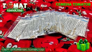 Обзор семян томатов | Сорта, которые давно хотелось вырастить! 🍅