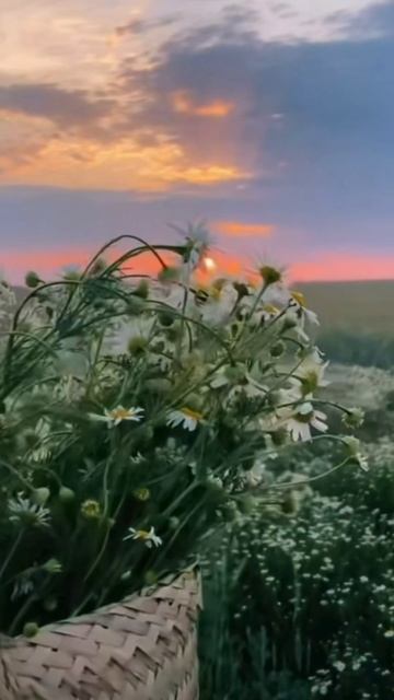 Число 95 в нумерологии