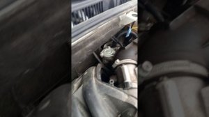 РЕАЛЬНЫЙ Отзыв  УСТАНОВКА ГБО на Гранту ,Цена.28.09.2025