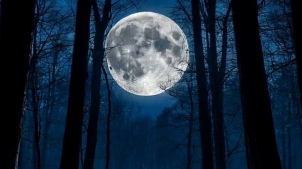 Кэнни & МС Дымка — Ворона (Версия №2: Exclusive Cut)