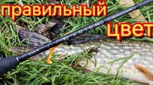 зимний спиннинг.Цвет на который клюёт.