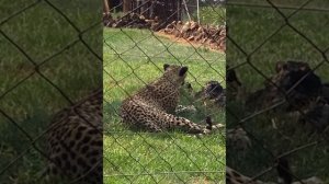 Фото из зоопарка😀