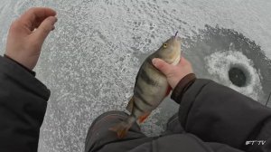 Когда на рыбалку только три часа, а половить рыбку очень хочется. Зимняя рыбалка 25/26. Мини-отчëт.