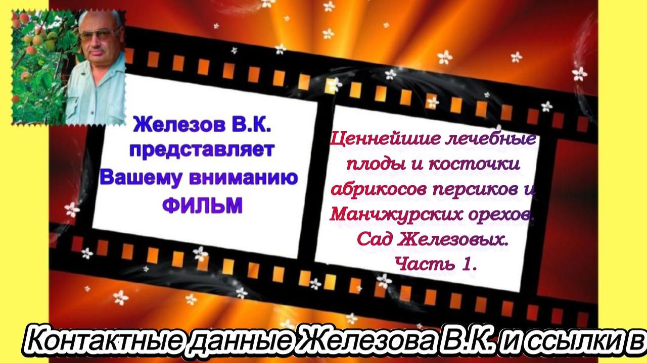 Ценнейшие лечебные плоды и косточки абрикосов, персиков и Манчжурского ореха. Сад Железовых. Часть 1 смотреть онлайн
