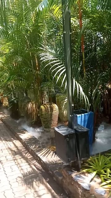 Цветок, от которого захватывает дух 🌸Тайный зал орхидей в Таиланде:где цветы шепчут древние легенды смотреть онлайн