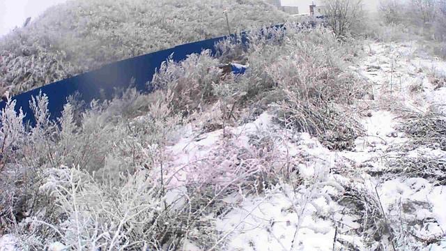 Охота на зайца с эстонкой. 6 смотреть онлайн