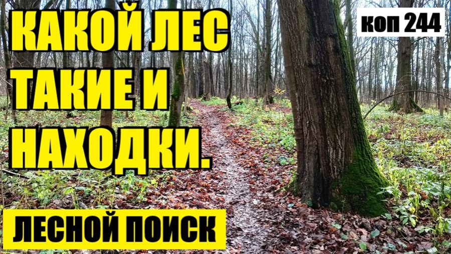 ЧУДНЫЙ ЛЕС и ЗАГАДОЧНЫЕ НАХОДКИ. коп 244 смотреть онлайн