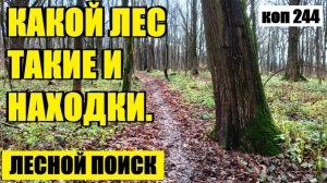 ЧУДНЫЙ ЛЕС и ЗАГАДОЧНЫЕ НАХОДКИ.  коп 244