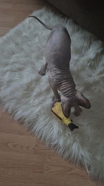 Удачная рыбалка