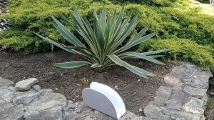 Спектр 340 и скег. Микро-отчет