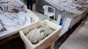 АЛАНЬЯ ТУРЦИЯ ИЮЛЬ 2024 С КОРАБЛЯ СРАЗУ НА БАЛ