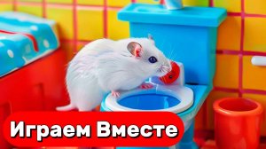 УМНЫЙ ХОМЯК СБЕГАЕТ ИЗ СЕКРЕТНОЙ ТЮРЬМЫ С ЛОВУШКАМИ 🐹 ВИДЕО ПРО ХОМЯКА ДЛЯ ДЕТЕЙ часть 1