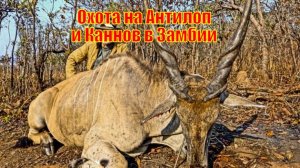 Джеральд МакРейни Охотится на Антилоп и Каннов в Замбии