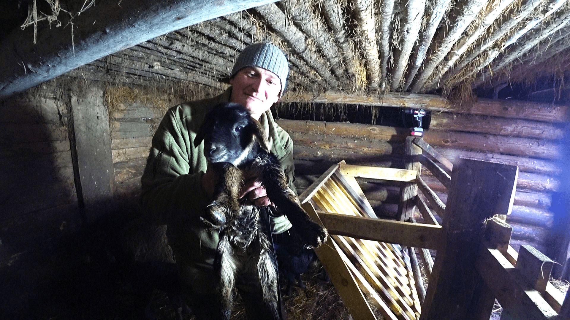 МАЛЫШЕЙ РОДИЛОСЬ СТОЛЬКО , ЧТО НОВЫЙ ГОД ОТМЕНЯЕТЬСЯ! №371 смотреть онлайн