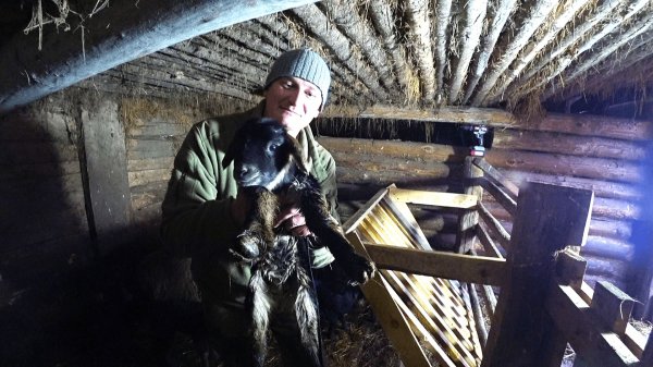 МАЛЫШЕЙ РОДИЛОСЬ СТОЛЬКО , ЧТО НОВЫЙ ГОД ОТМЕНЯЕТЬСЯ! №371