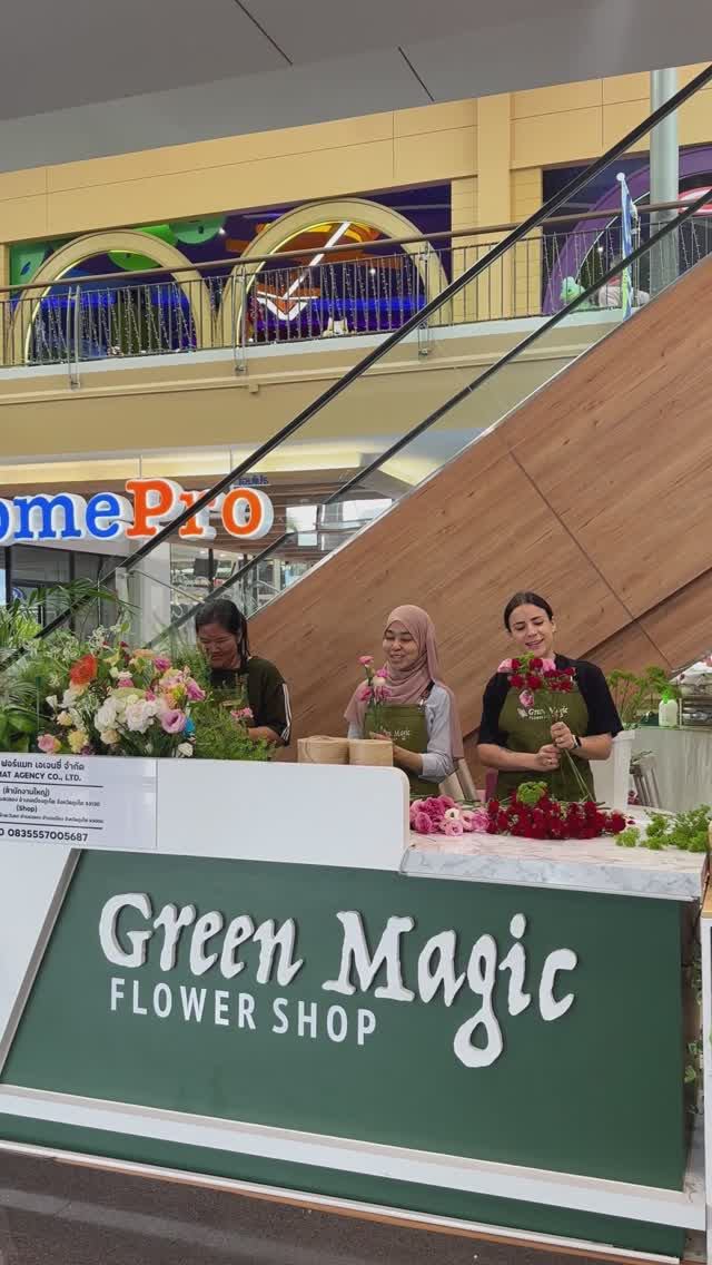 Green Magic смотреть онлайн