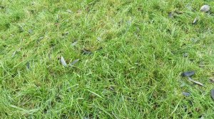 СП "Температурный плед" с Катериной Шурм. Отчет 1, теплый декабрь😉