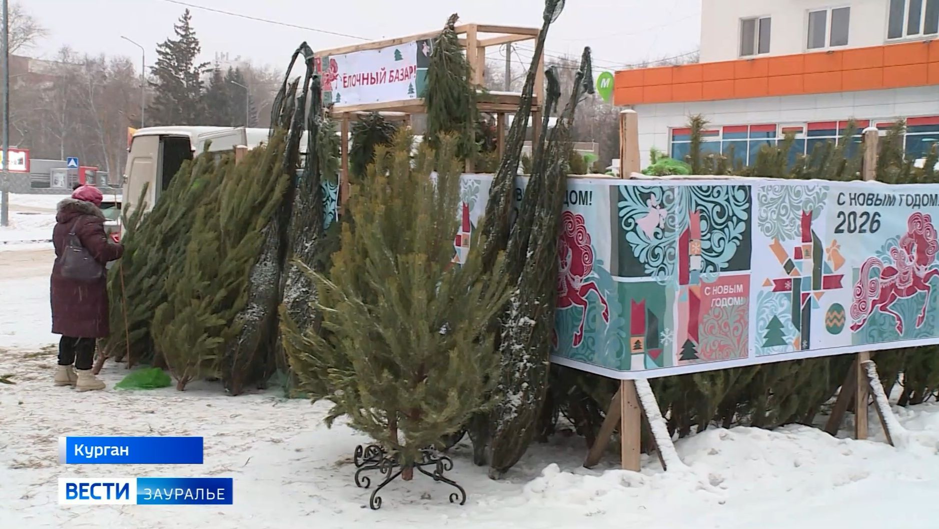 На что курганцам стоит обращать внимание при выборе ёлки? смотреть онлайн