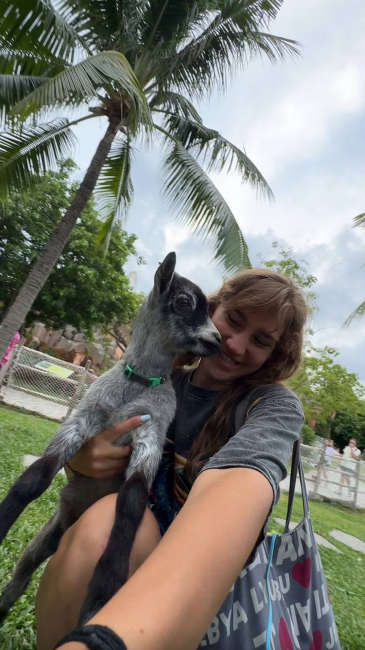 Вот почему ты возвращаешься к бывшему!!🤯 Абьюзерская версия смотреть онлайн