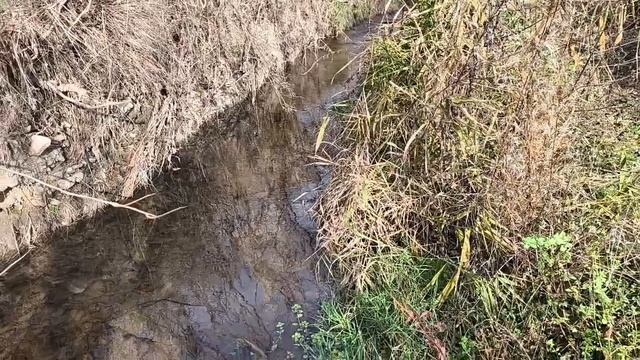 Сохраняйте воду в малых реках!