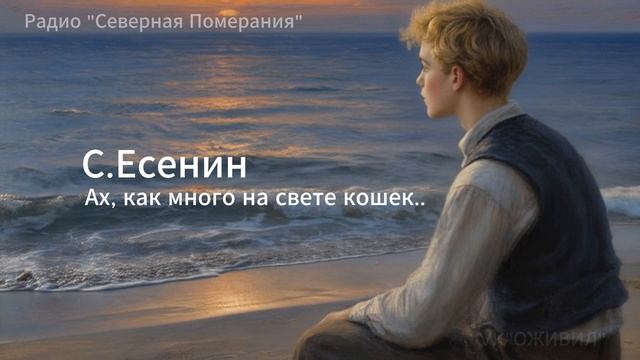 Ах как много на свете кошек. Песни на стихи Сергея Есенина. Северная Померания #Есенин #Оживил