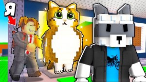 УКРАДИ БРЕЙНРОТ😱ЗАТРОЛИЛ ЮТУБЕРА АДМИНКОЙ и УКРАЛ ВСЕХ БРЕЙНРОТОВ в Steal a Brainrot!