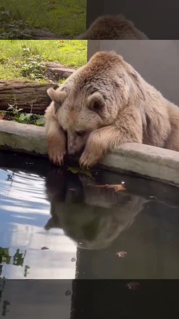 Пофигизм смотреть онлайн