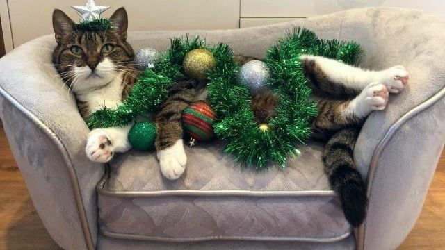 Жёсткие диалоги со свежей мошнёй. Ч.2 18+ смотреть онлайн